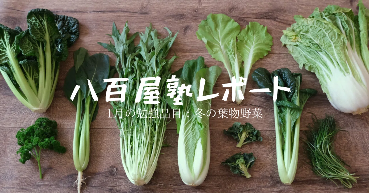 八百屋塾レポート】 勉強品目：冬の葉物野菜（2026/1/18開催）｜八百屋塾