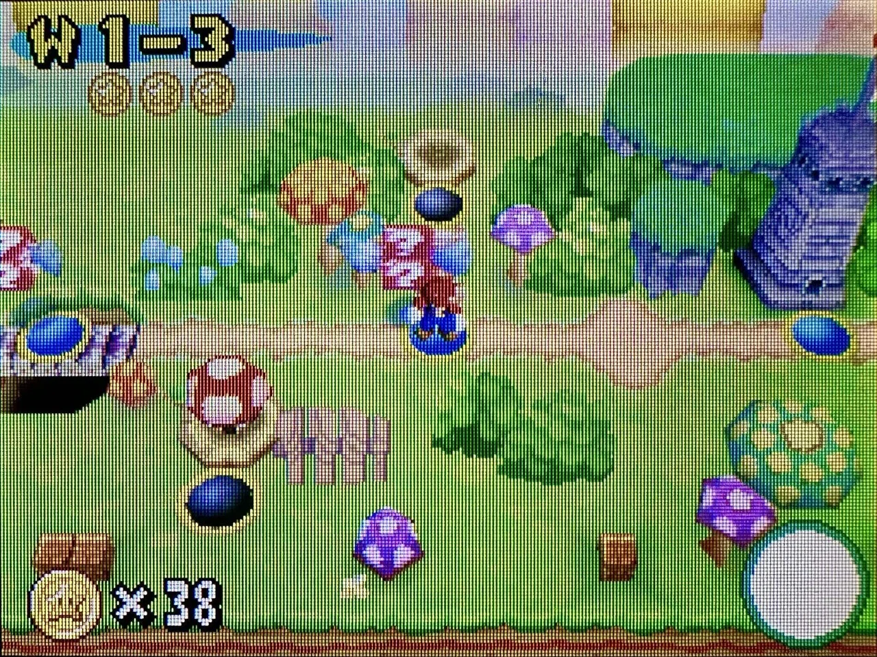 DS:14] Newスーパーマリオブラザーズと私。｜みんはい