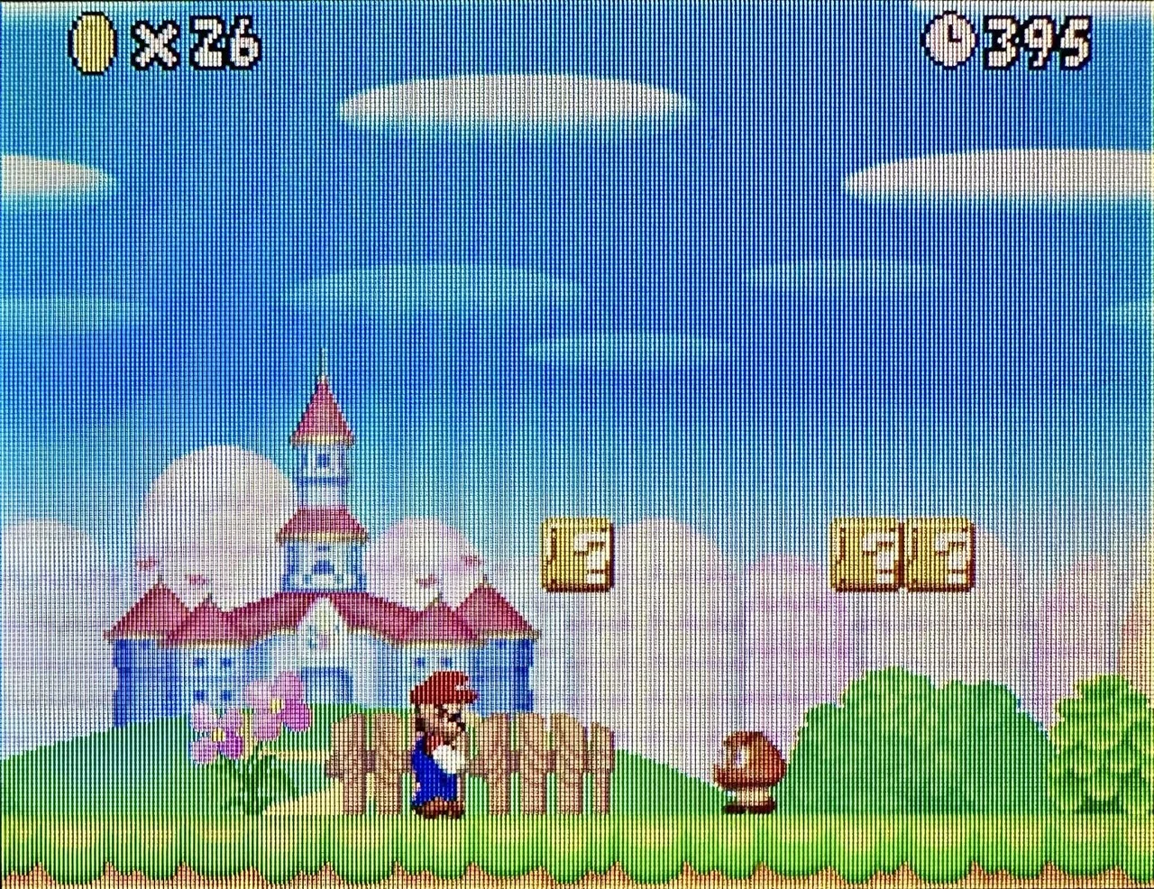 DS:14] Newスーパーマリオブラザーズと私。｜みんはい