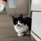もと