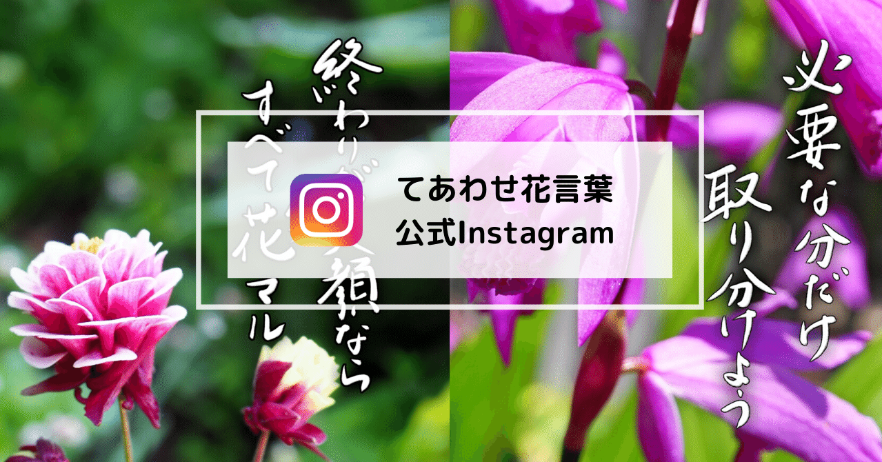 てあわせ花言葉 公式インスタグラム てあわせjokenji 公式ページ Note てあわせ花言葉 公式インスタグラム てあわせjokenji 公式ページ Note