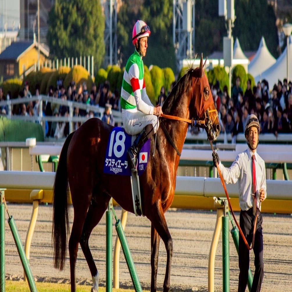 競馬写真集①（2025年10〜11月）｜ななしの緑