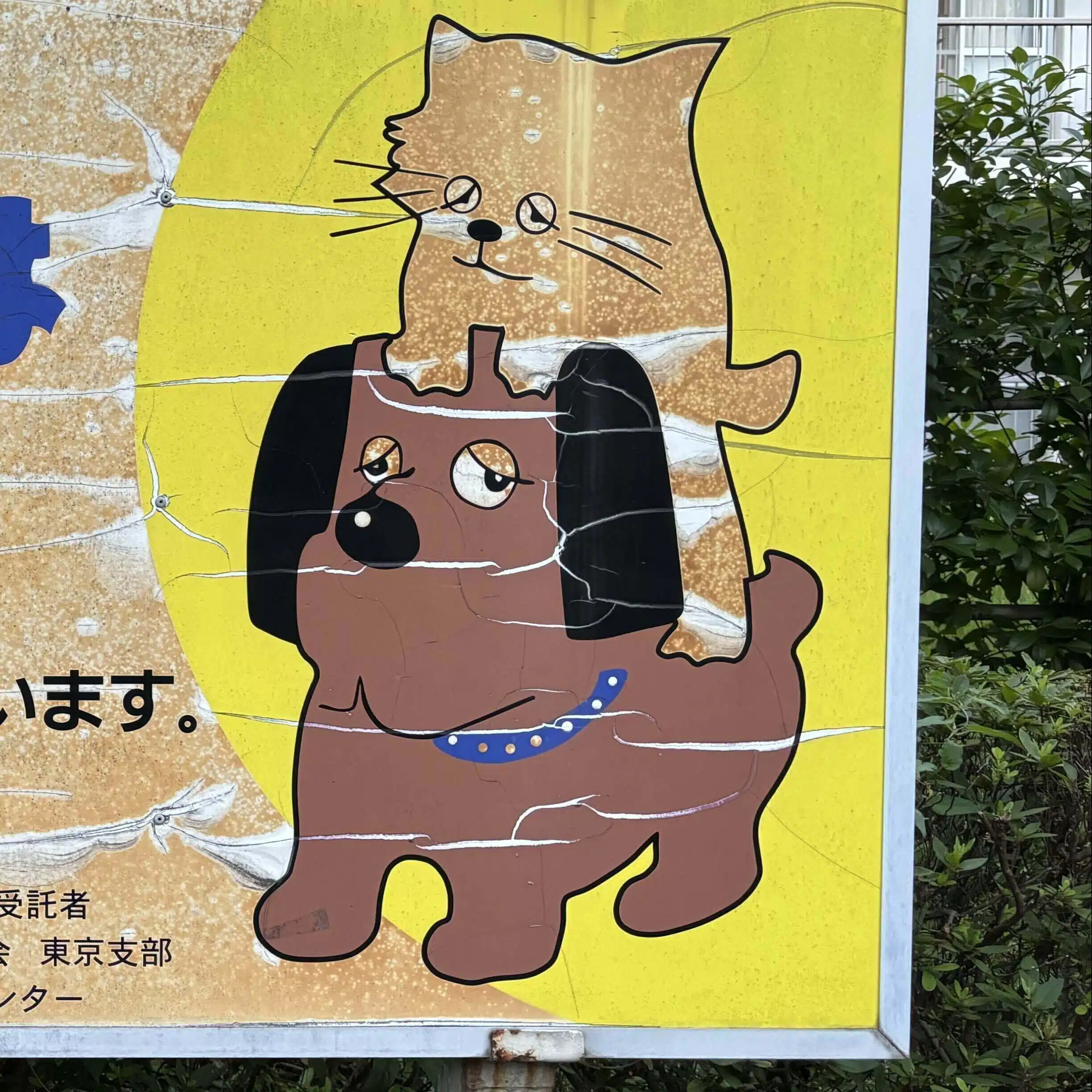 西畑