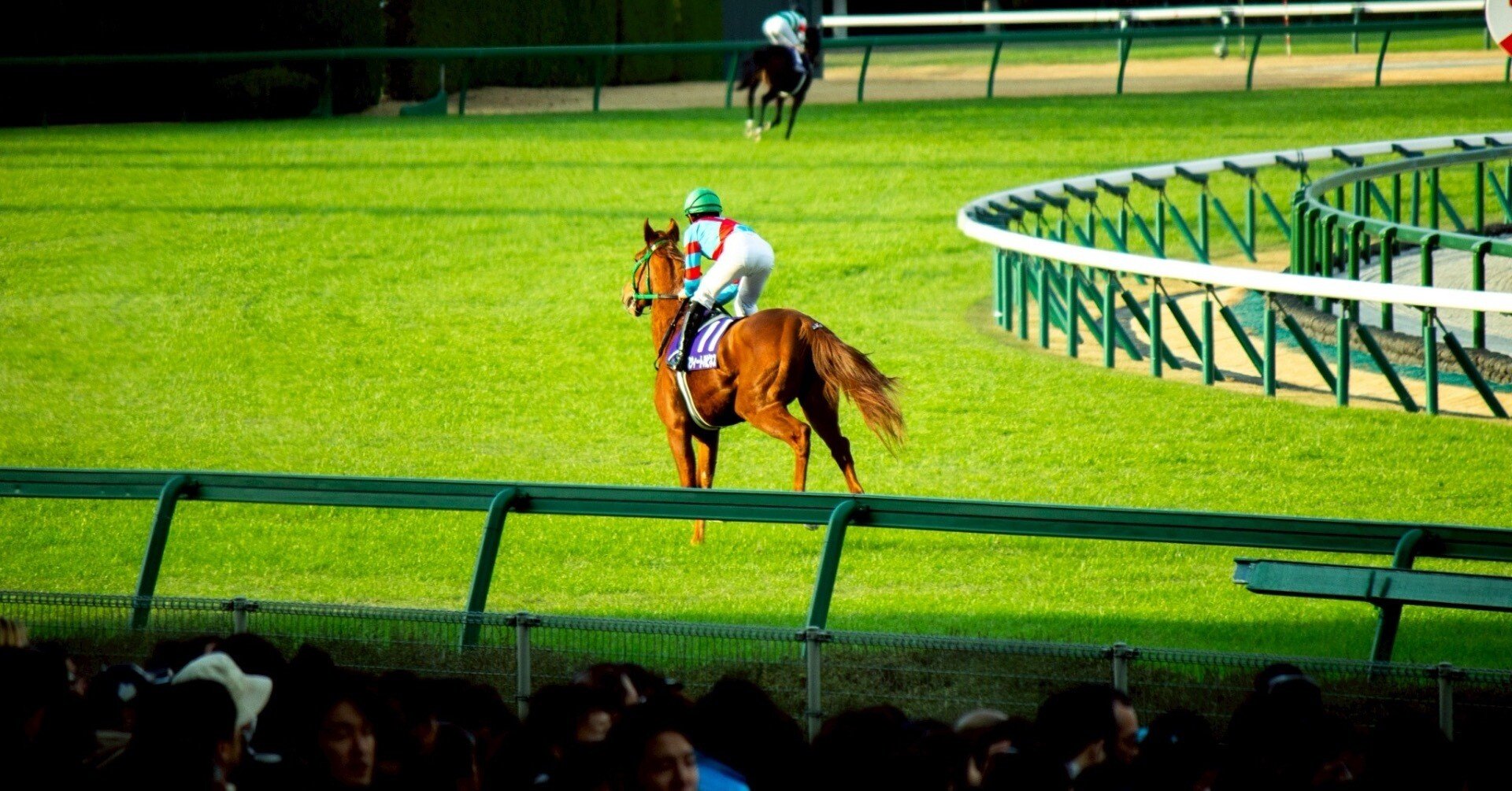 競馬写真集②（2025年12月前半）｜ななしの緑