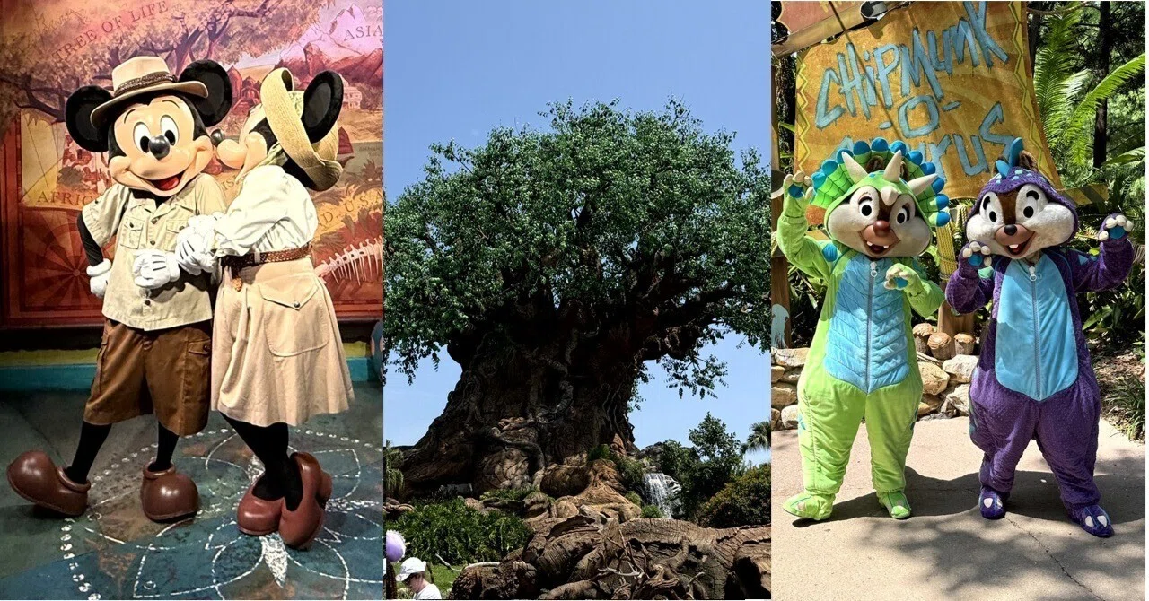 陽花のWDW旅2025⑥（最終話）滞在5日目最終日アニマルキングダム 
