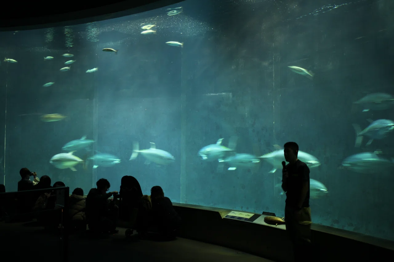 葛西臨海水族園】｜オーロラ