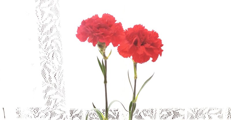 鶴見市場の花屋さん Shig シグ Note 鶴見市場の花屋さん Shig シグ Note