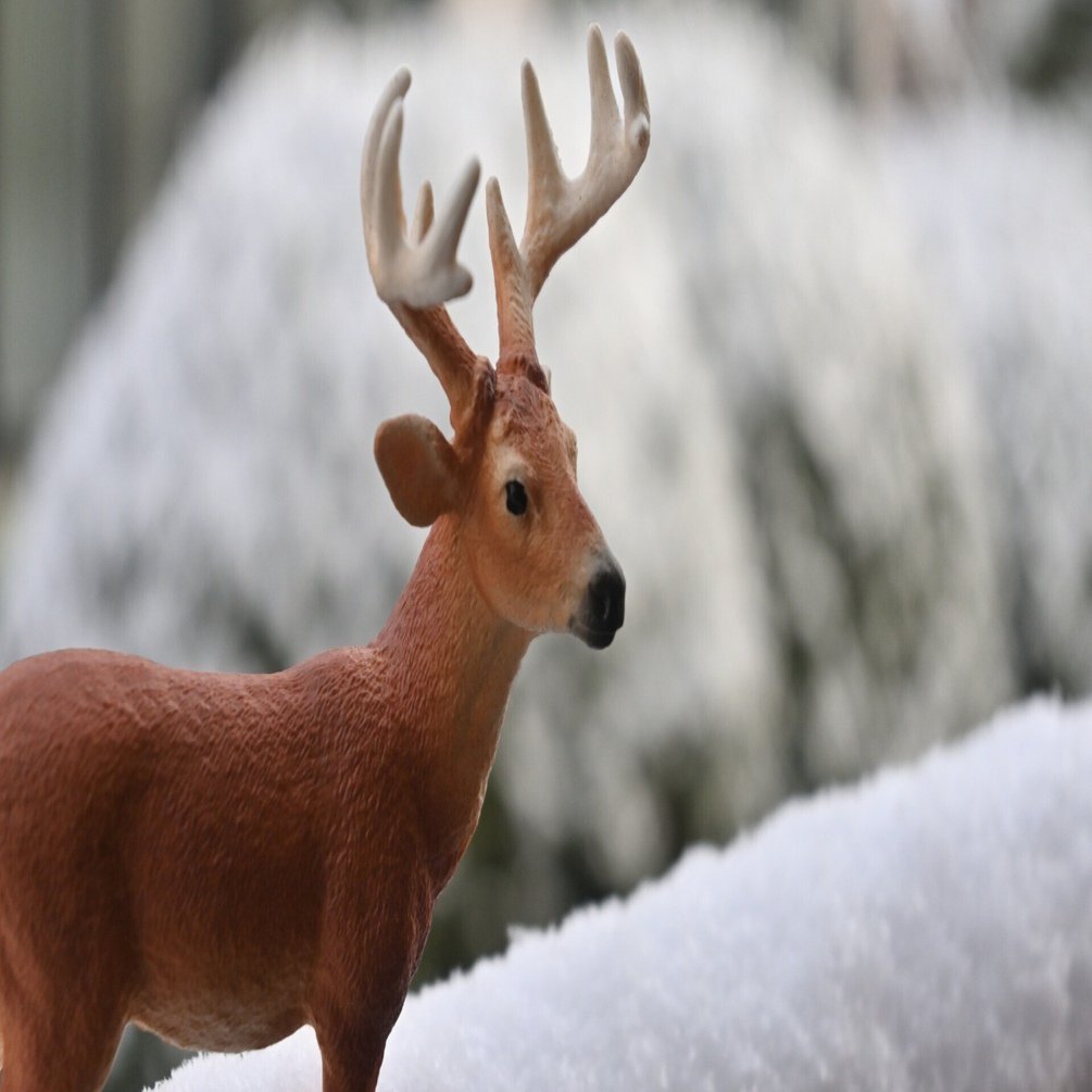 買ってよかったものはありますか？｜鹿野がんこ