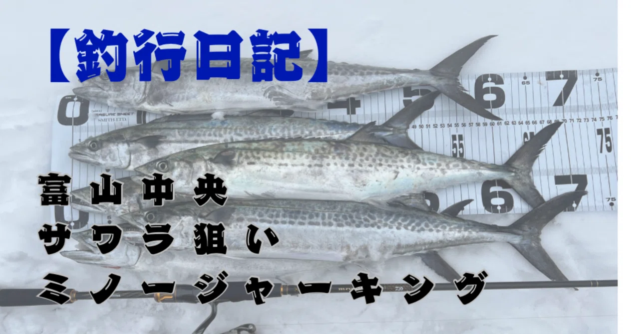 爆釣サゴシデー】ショアミノージャーキングでサワラを引き寄せた一日