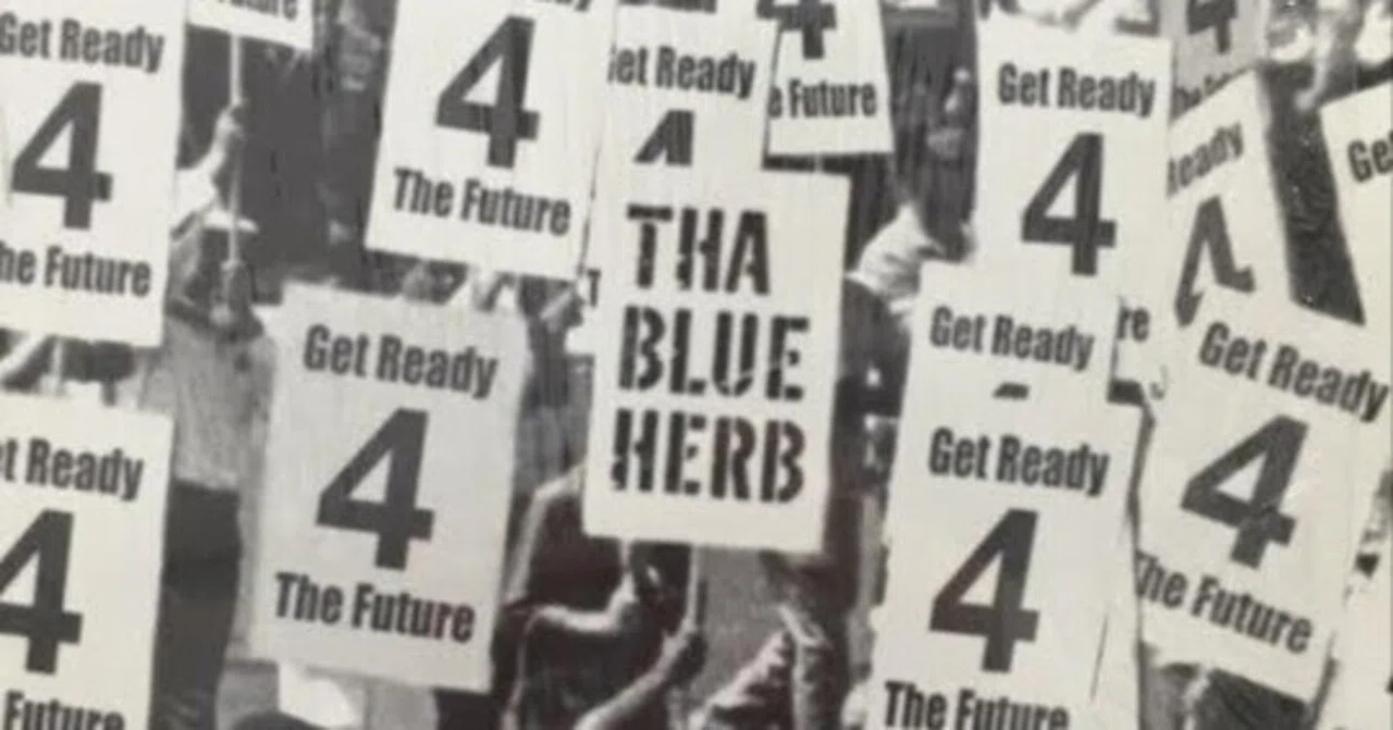 The Abyss of Literature Played by THA BLUE HERB｜mari