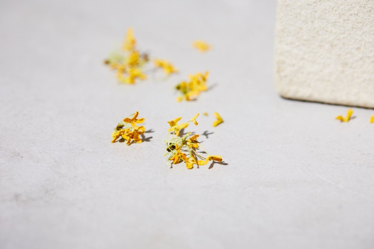 第一弾の香水『Nostalgia Syndrome』が皆さんに届いた！｜きゃ