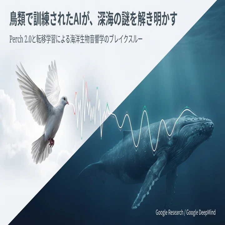 小鳥のさえずり」が深海の巨大クジラを特定する：GoogleのAIが証明した