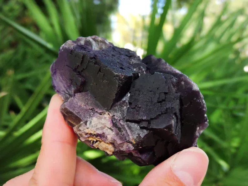 閉ざされた鉱山が残した色 ― メキシコ産フローライトの深紫｜Mineral Atlas