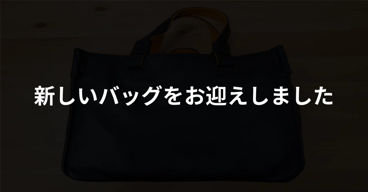 新しいバッグをお迎えしました【ミニトートバッグ】｜Leo/リオ