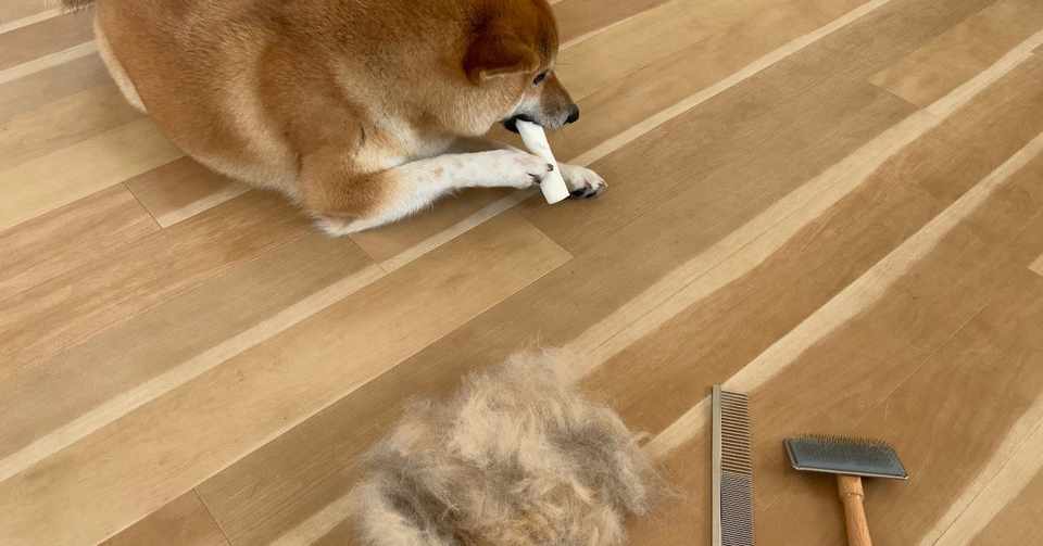 抜け毛がヤバい柴犬と暮らすマンションの掃除方法 Nogunori Note