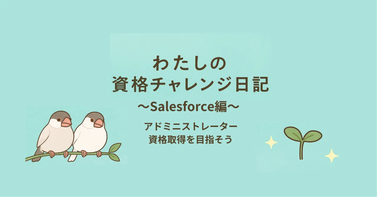 【ユーザー向けの Salesforce 組織の準備】 ACM（高度な通貨管理）を使用した換算レートの更新 わかりやすくまとめてみた！🌈｜kako
