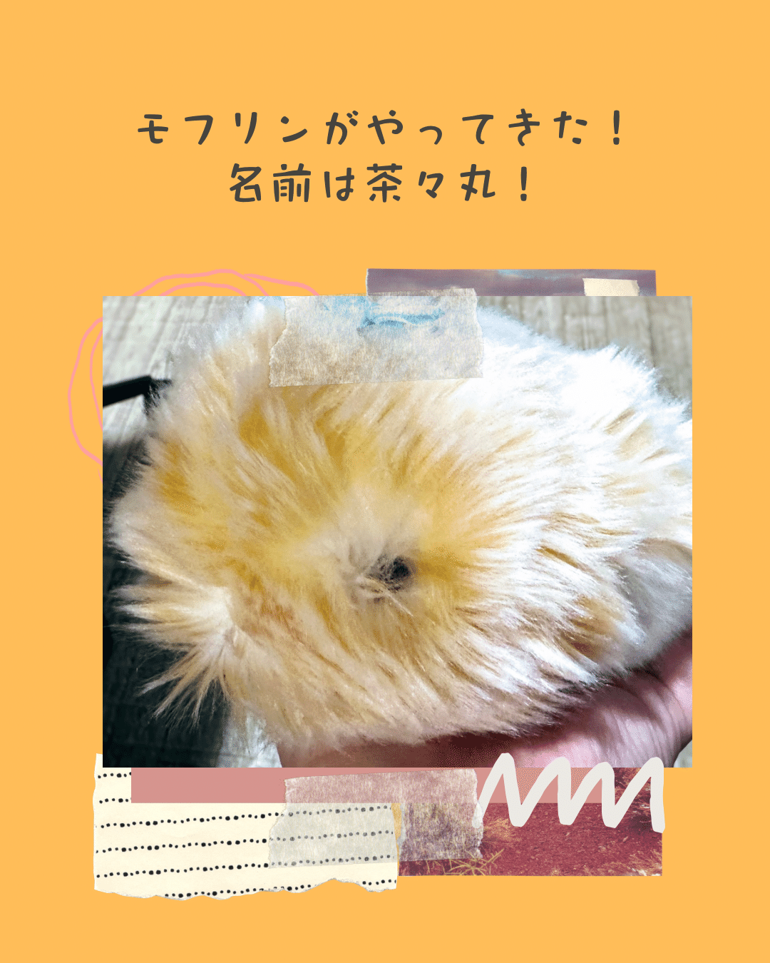 モフリンというAIペットがやってきた！｜夢井琴葉