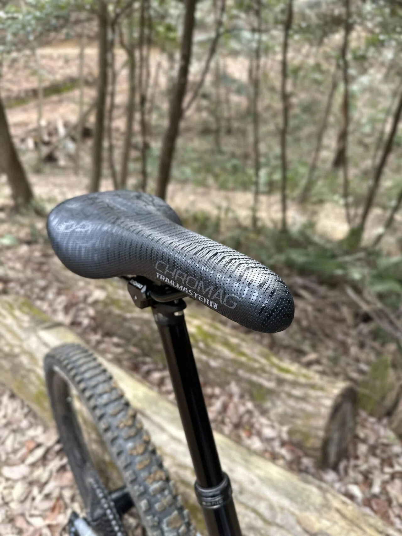 E-MTBに最適なサドル選び 「快適性と耐久性」を両立したサドルとは