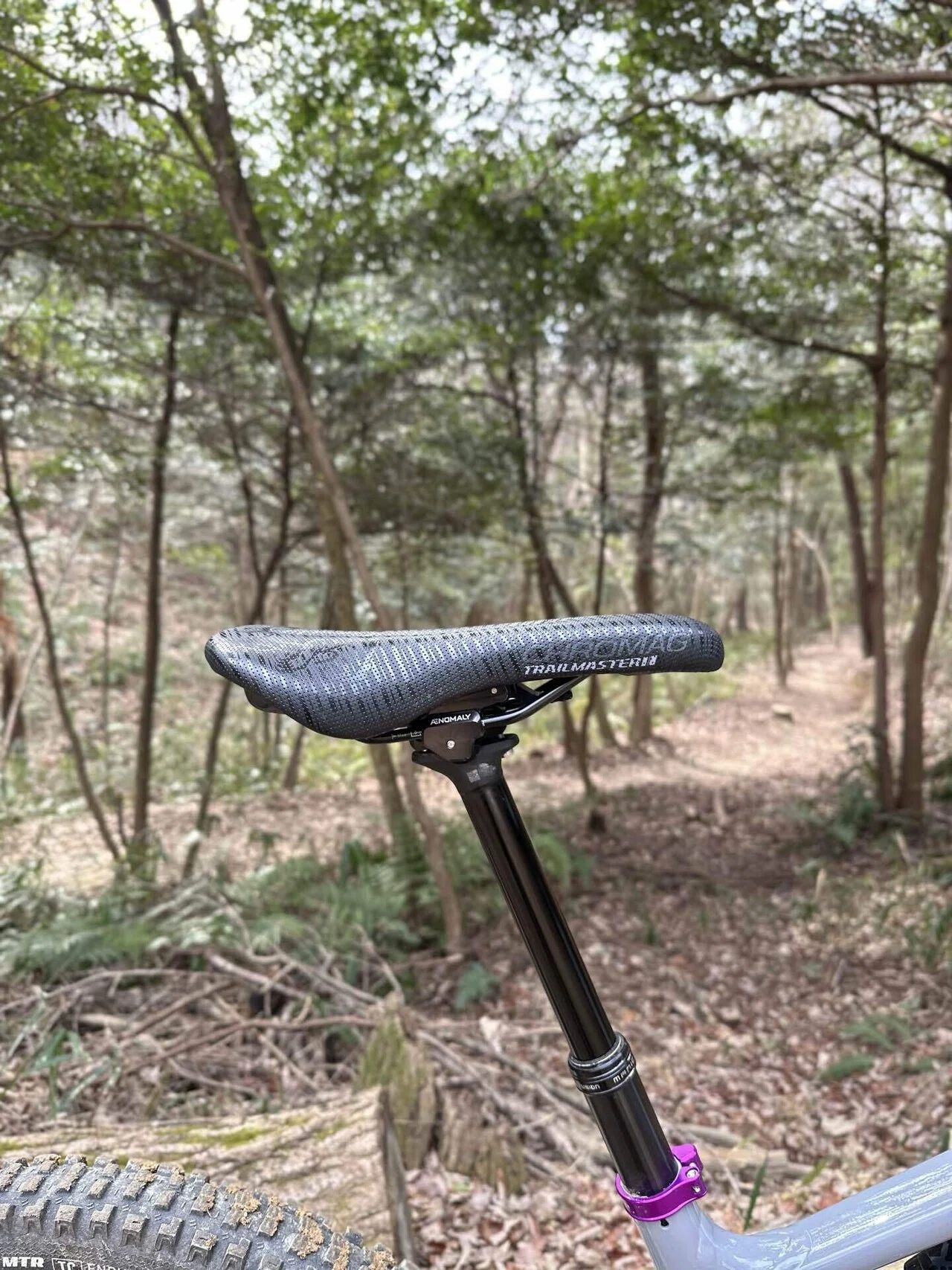 E-MTBに最適なサドル選び 「快適性と耐久性」を両立したサドルとは