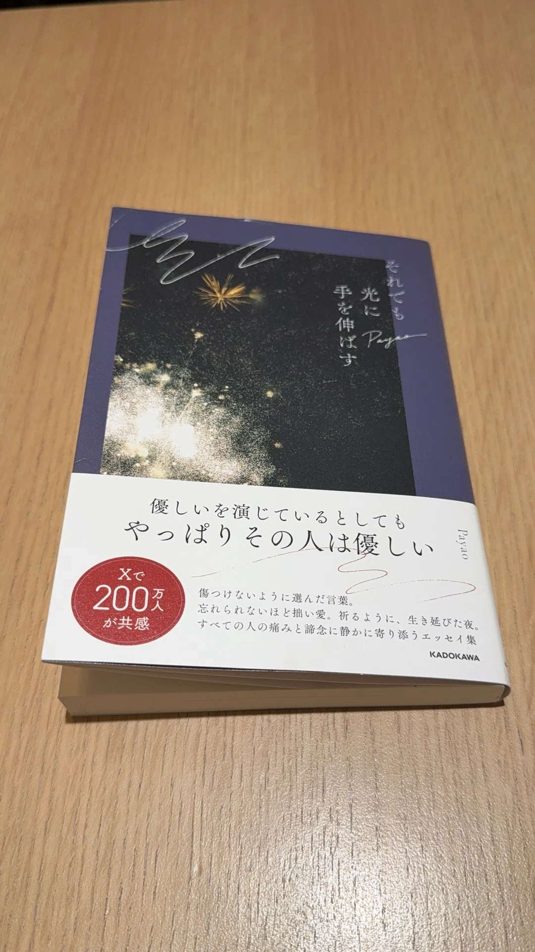 Reading | Reaching for the Light Even So｜毎日更新！森せんせーの