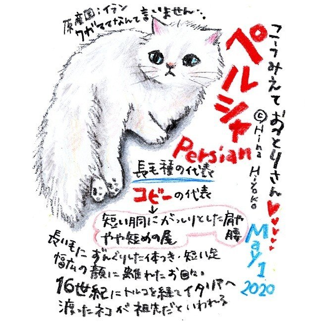 昔の名前で出ています ネコ編 陽菜ひよ子 イラストレーター インタビューライター Note