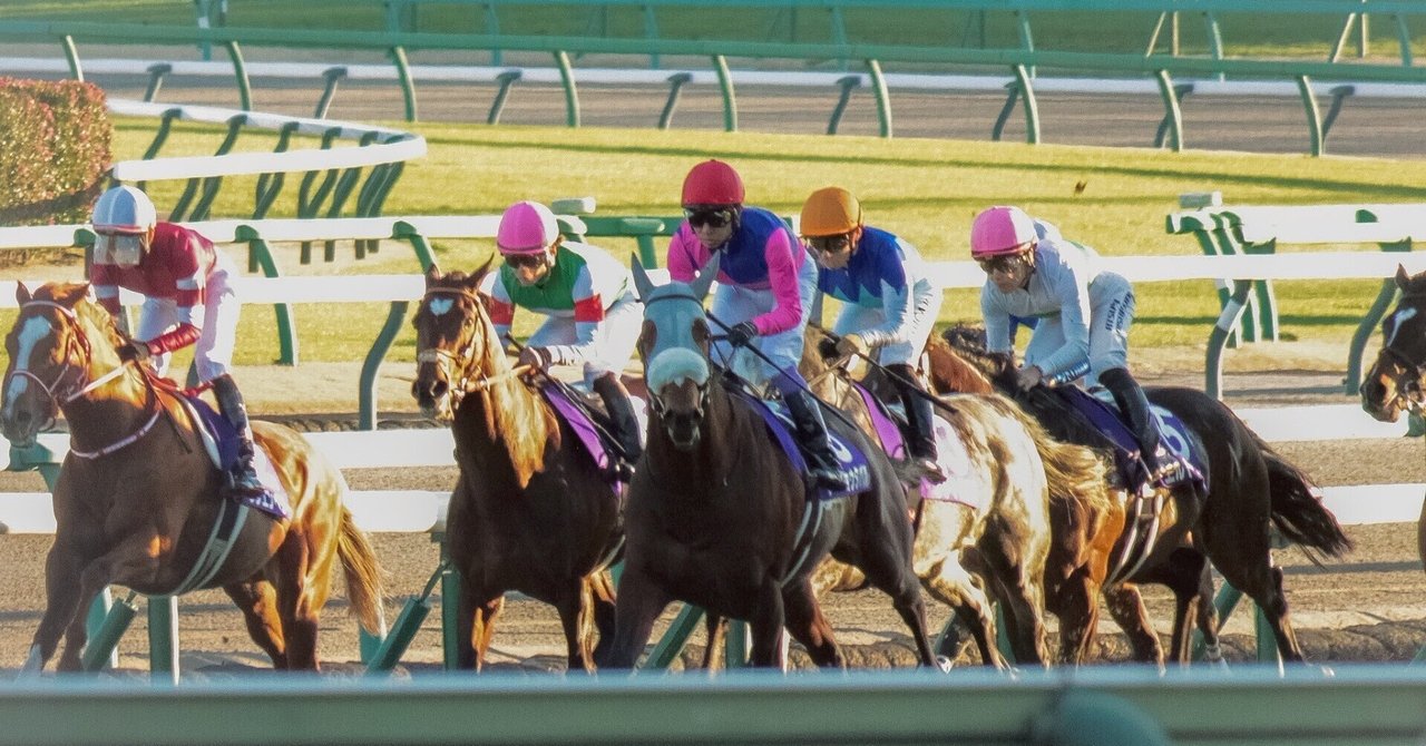 競馬写真集③（2025年12月後半）｜ななしの緑