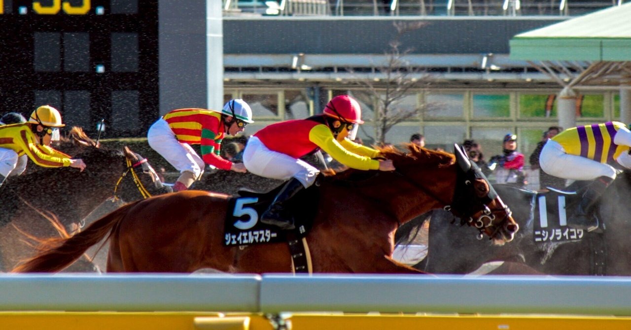 競馬写真集④（2026年1月〜2月）｜ななしの緑