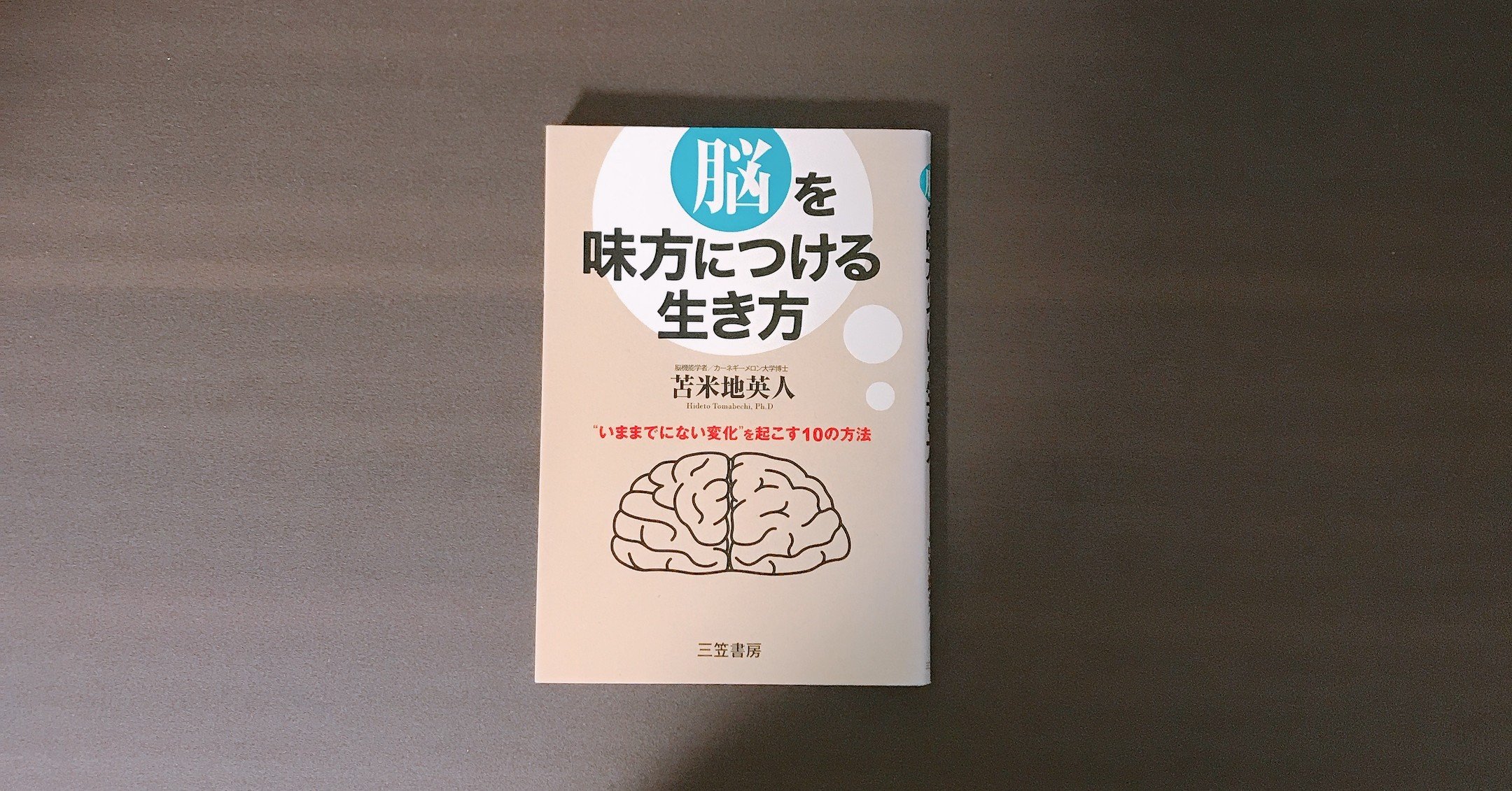 英 人 病気 苫米地