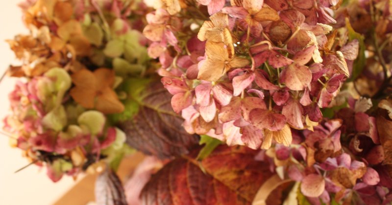 過去の もう会わないであろうひと 003 ひどい別れ方 F デュブルイ Note