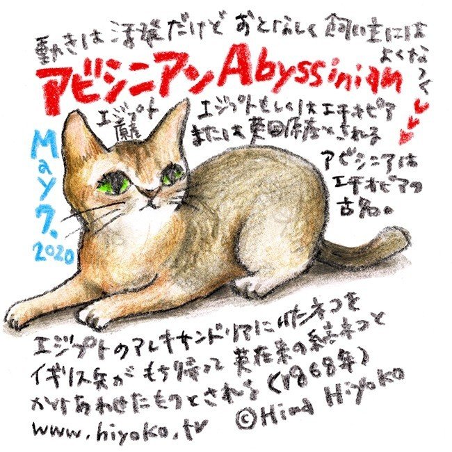 昔の名前で出ています ネコ編 陽菜ひよ子 イラストレーター 文筆家 漫画家 Note