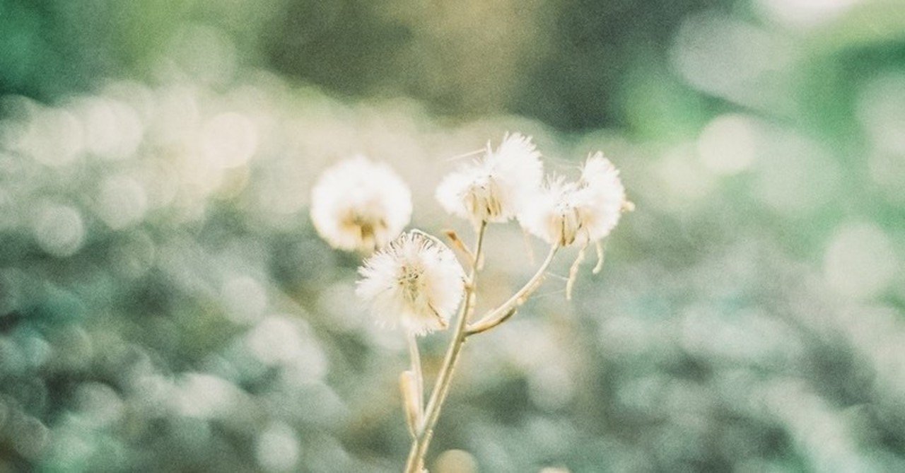 スウェーデン語の名詞 1 定形と不定形 Mamii Note スウェーデン語の名詞 1 定形と不定形 Mamii Note