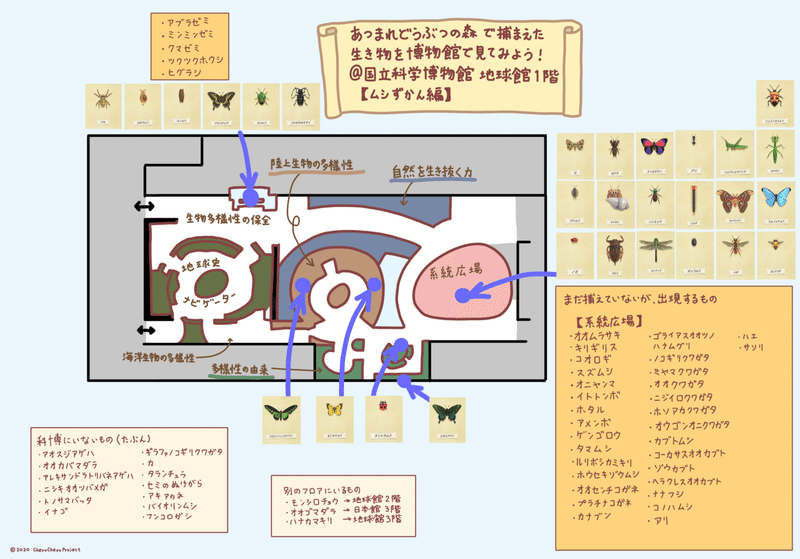 あつ森版 国立科学博物館フロアマップ ゆきてぃ Note あつ森版 国立科学博物館フロアマップ ゆきてぃ Note