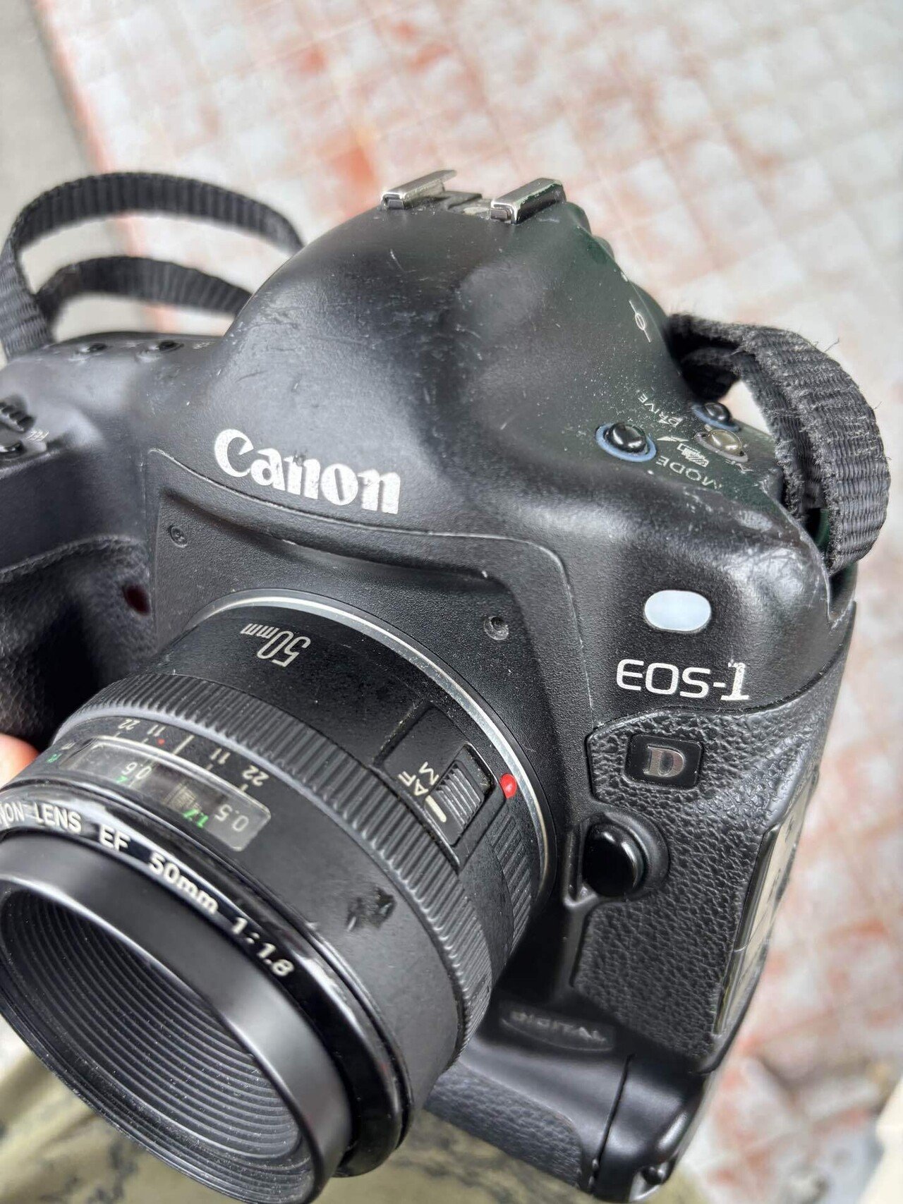 APS-HのCCDだ Canon EOS-1D初代｜けいふ