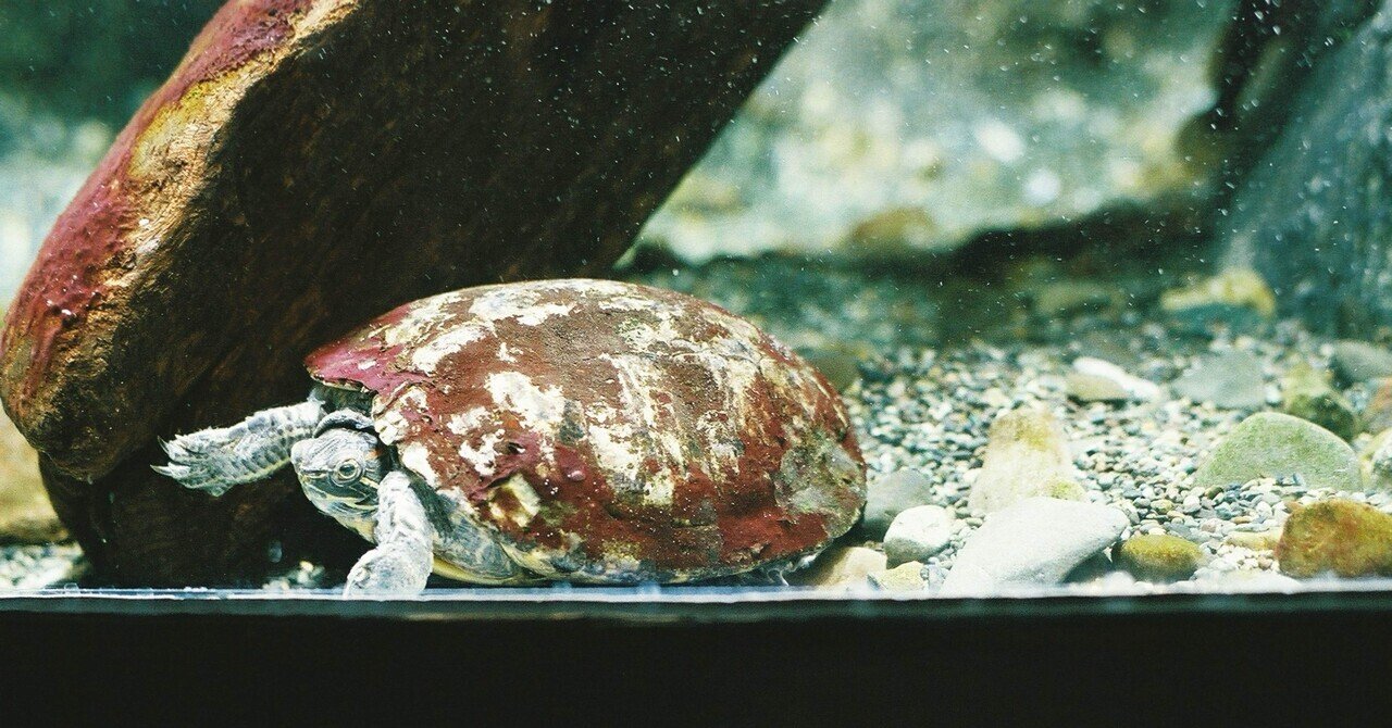 01 【はじめてのnote】CONTAX 167mt | Carl Zeiss Planar T* 50mm F1.4