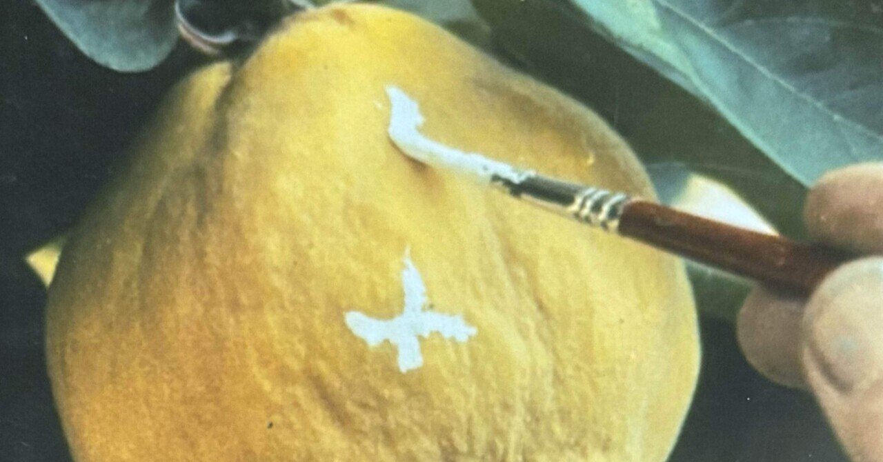 マルメロの陽光 」ヴィクトル・エリセ監督1992年スペイン