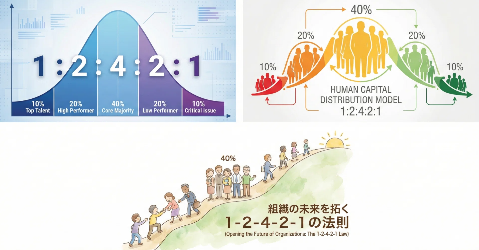 262の法則 アリ