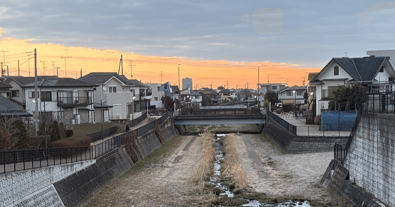 春は未だ遠い 空堀川上流域のカワセミ