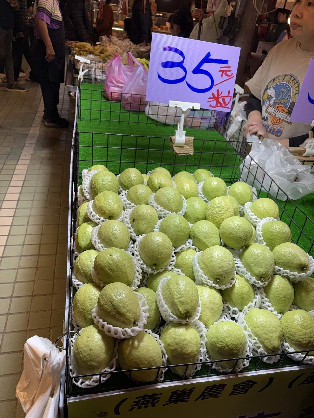 グアバ愛が止まらない❤️｜たんけんこ