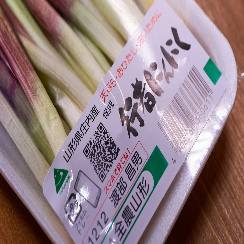 行者にんにく　おいしい野菜研究室様 収穫まで5年以上かかる行者にんにく｜にっしー / Nishikawa Jumpei
