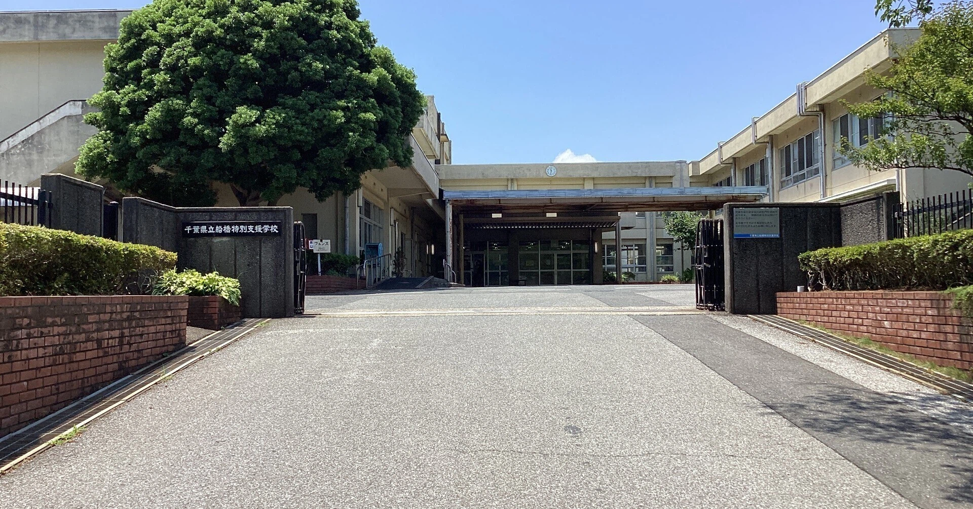 特別 支援 学校 千葉 県