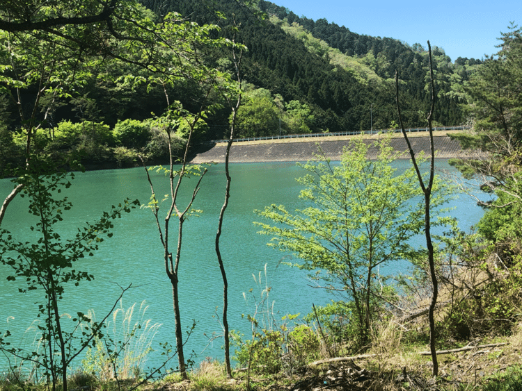 ダム湖です
水の色がたまらない(´∇｀)
