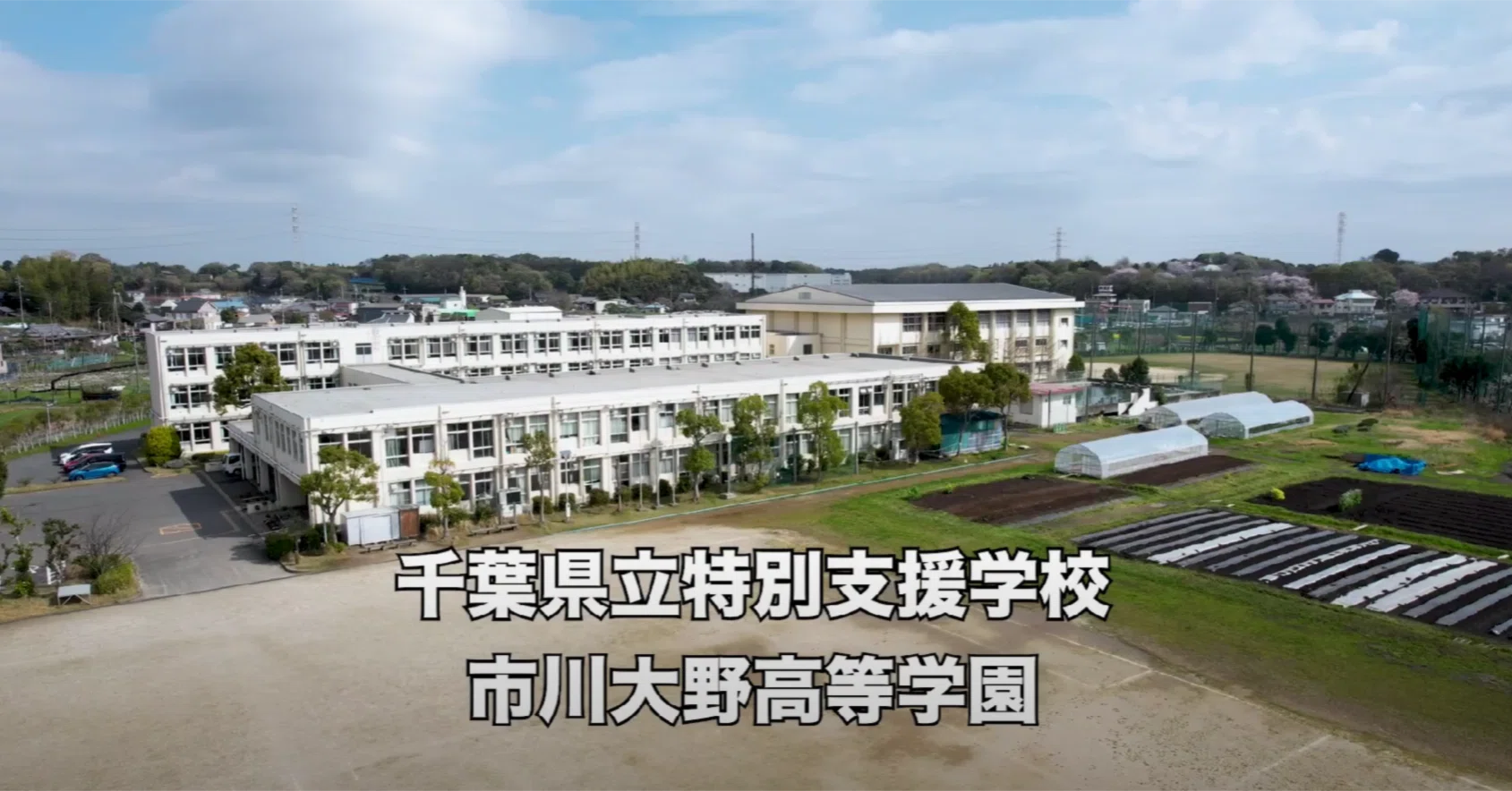 市川 大野 高等 学園
