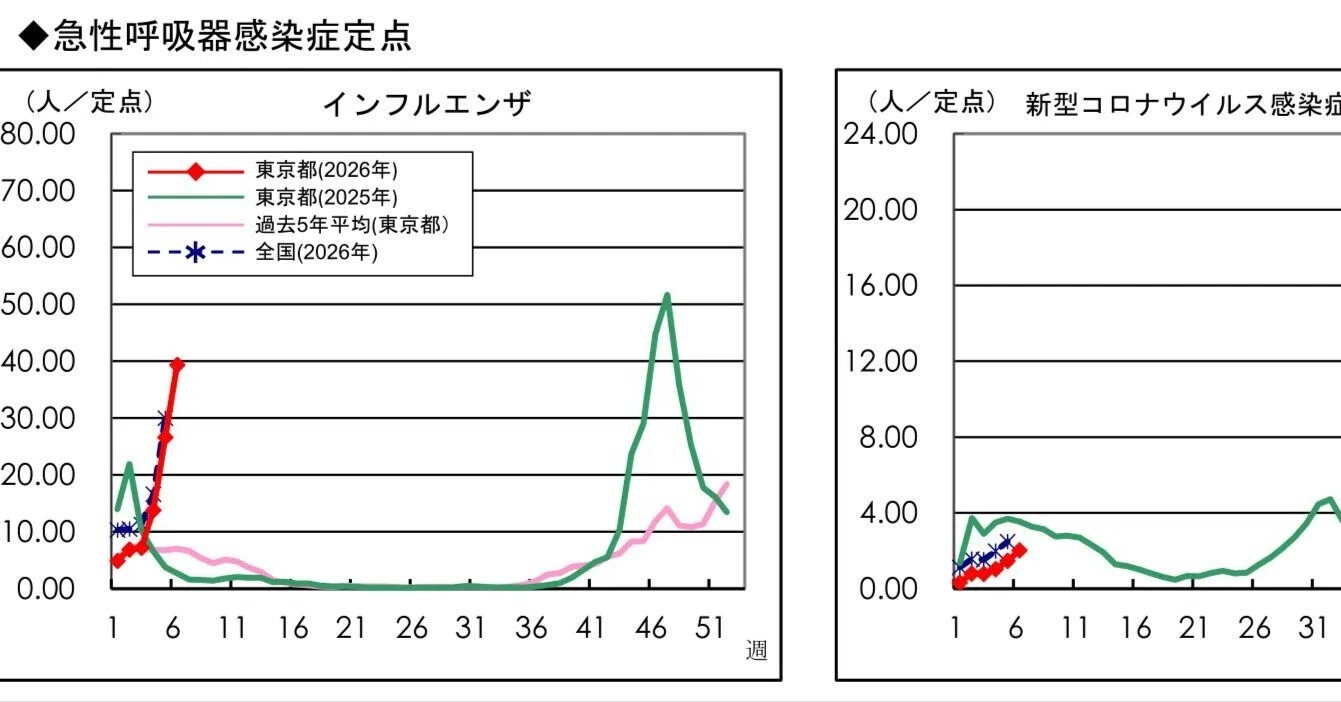 コロナ・インフルエンザ患者発生状況・2026年第6週［速報］｜藤竿伊知郎