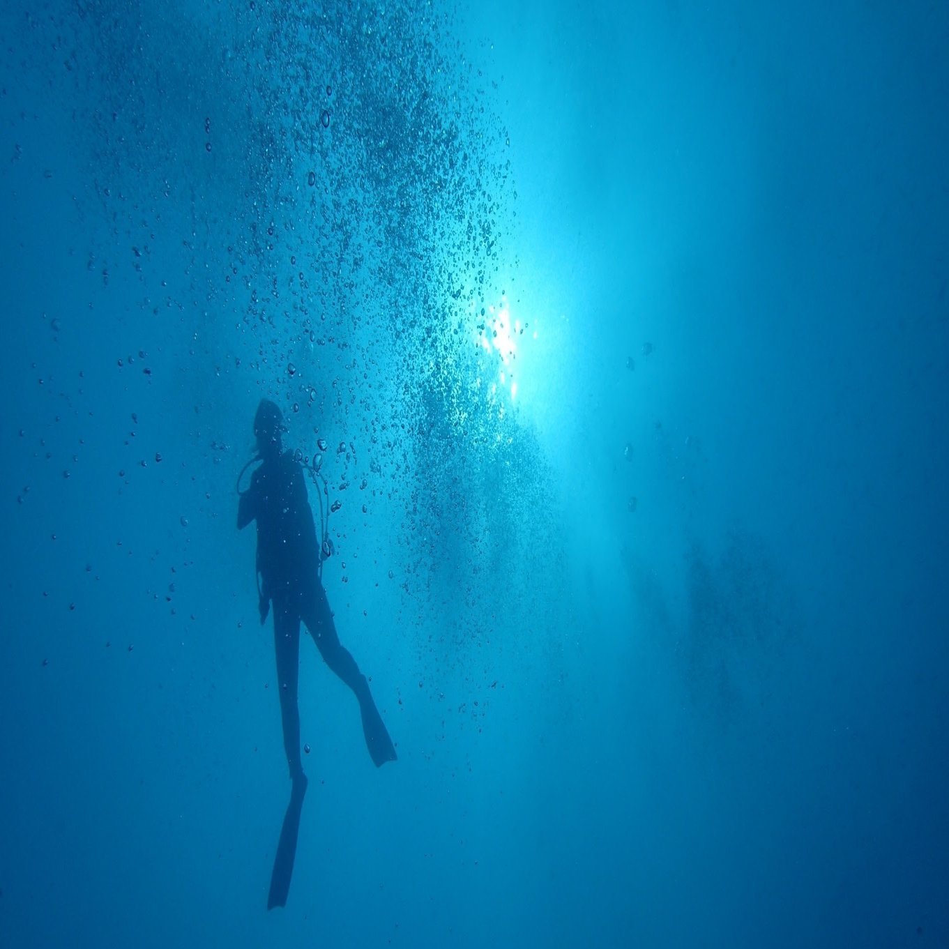 水中っぽいアニメーションをcssとjqueryで作ってみる 玉子豆腐 Note