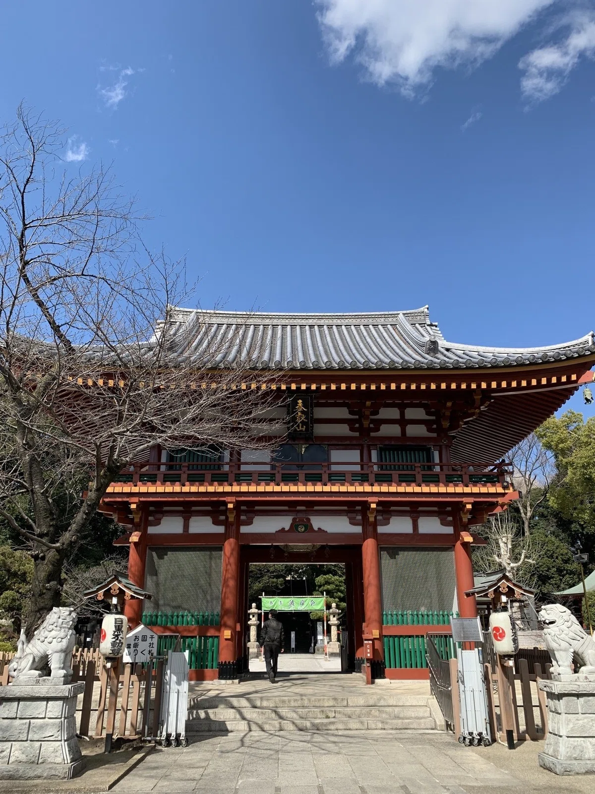 画像7