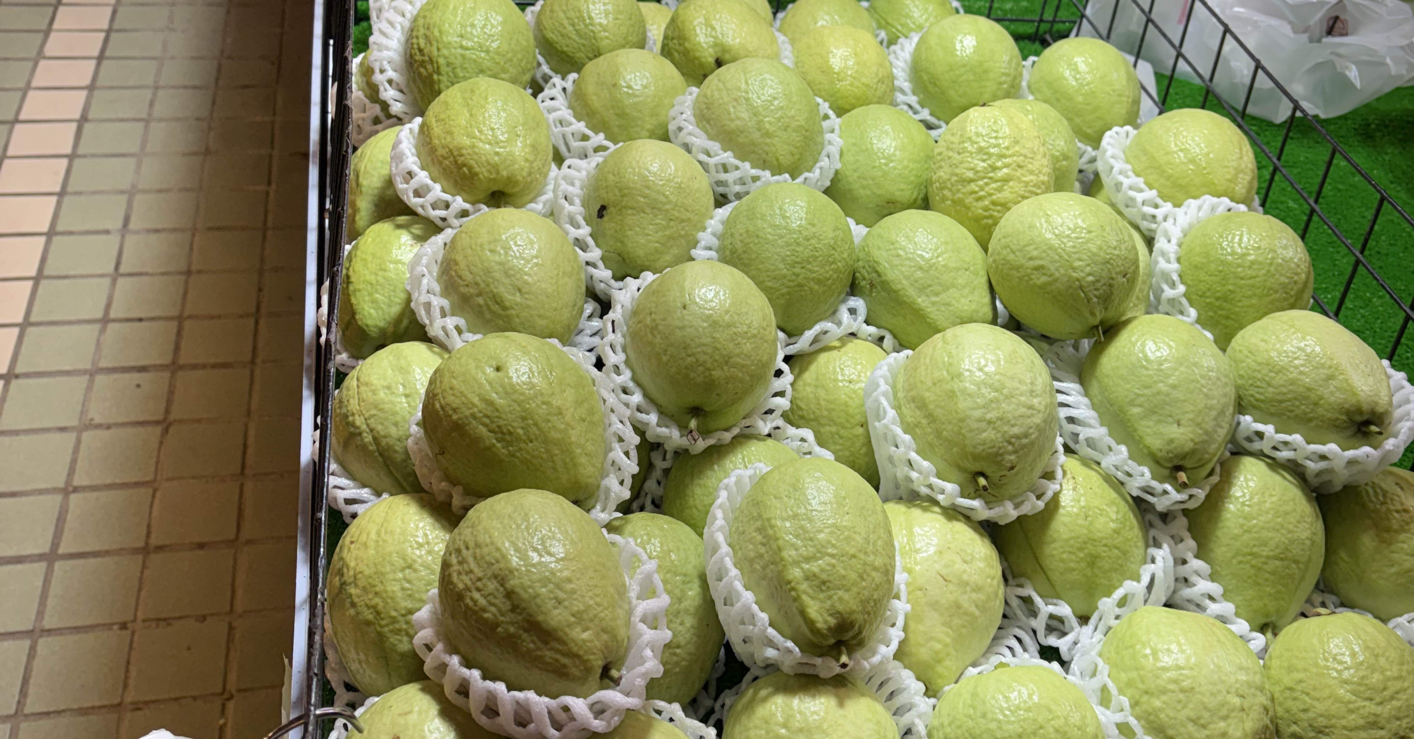 グアバ愛が止まらない❤️｜たんけんこ