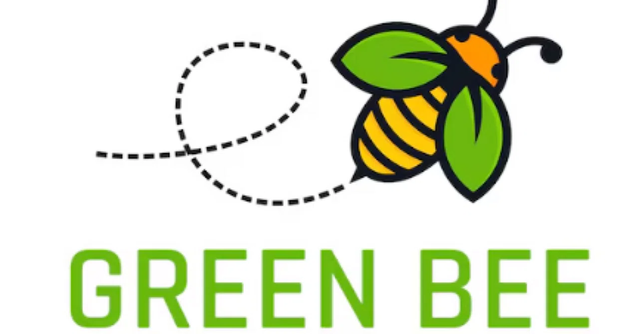 銘柄分析：（3913）GreenBee｜いまりお