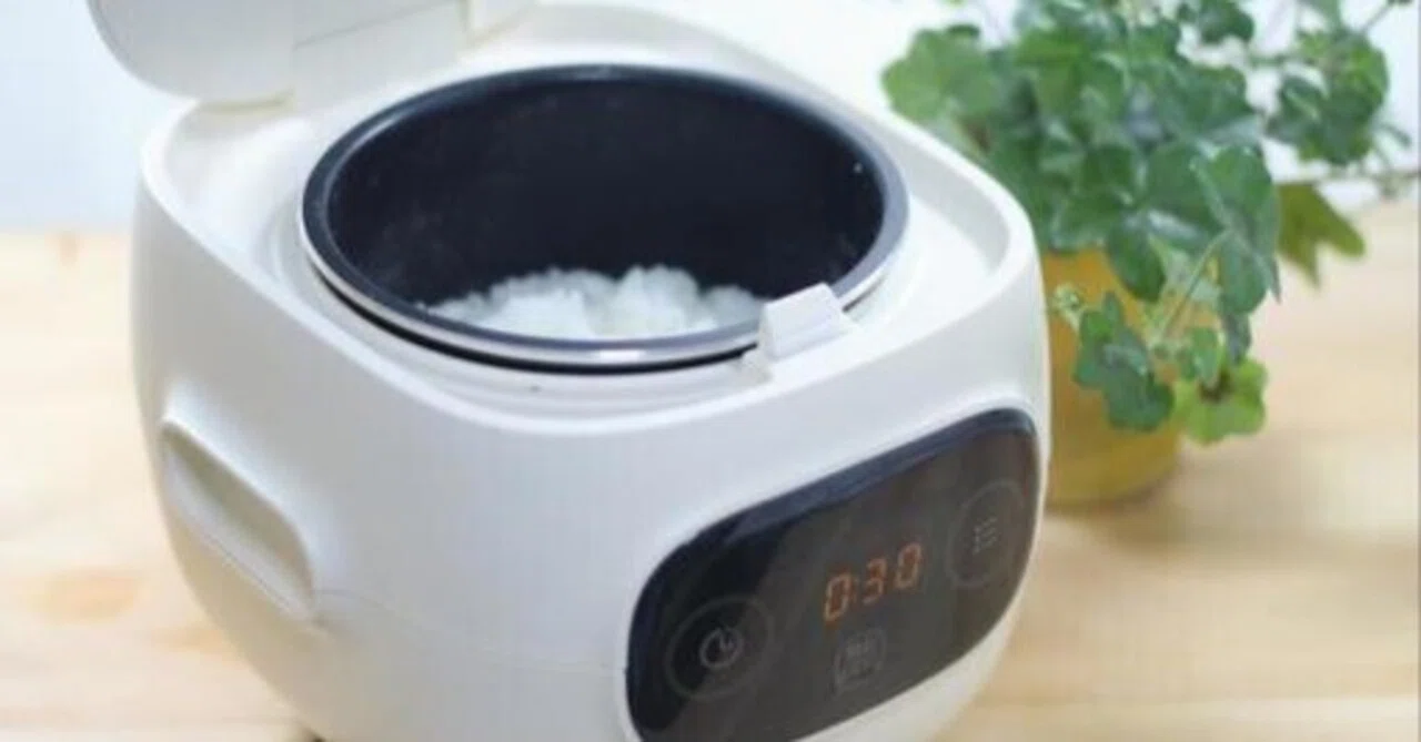 Rectangle Rice Cooker Restaurant-Quality Taste Every Day! 5 'God-Tier' Rice Cookers with 3 ...