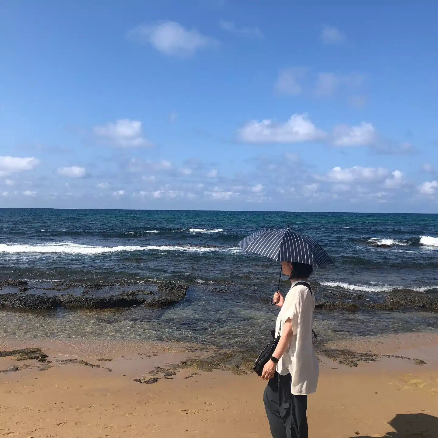 千代たん