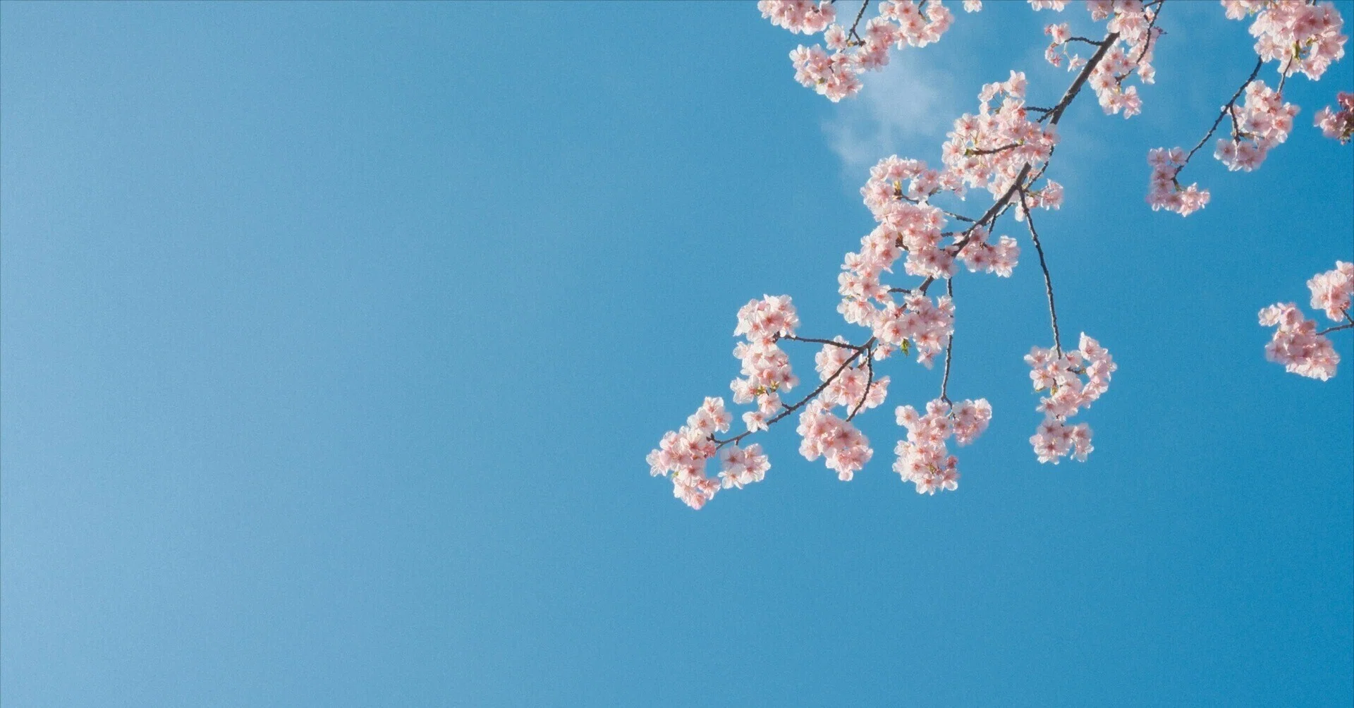 中澤紘大 ||写真家｜note